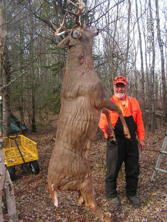 Doc's huge 2010, 10-pointer hanging in camp.