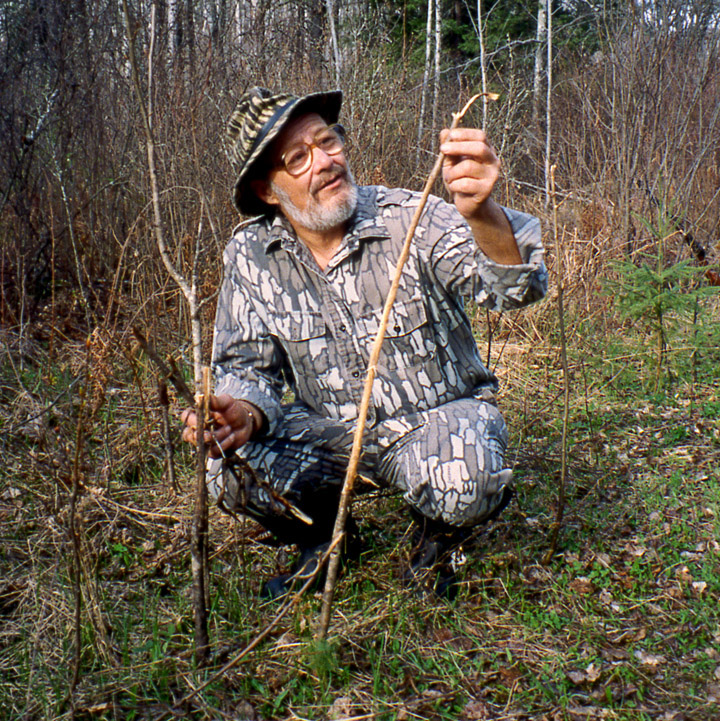 Doc kneeling and looking at a broken branch of a velvet rub.