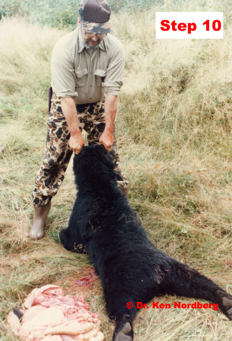 Step 10 Positioning the bear so it will drain.