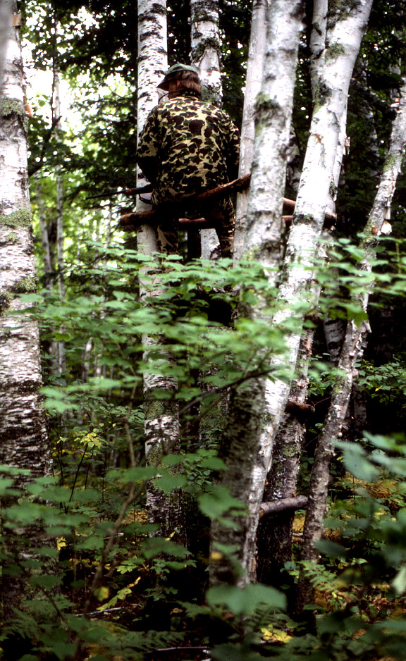 John Nordberg sitting in the Pond treestand circa 1980.